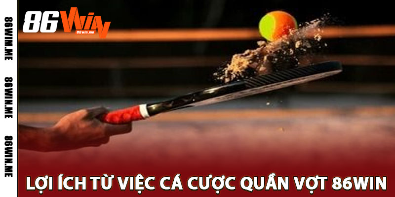 quần vợt 86win